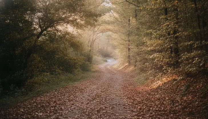 Sentiero immerso nella natura attorno al casale toscano
